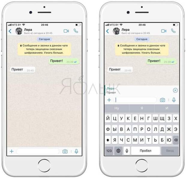 10 полезных опций WhatsApp, которые следует знать каждому
