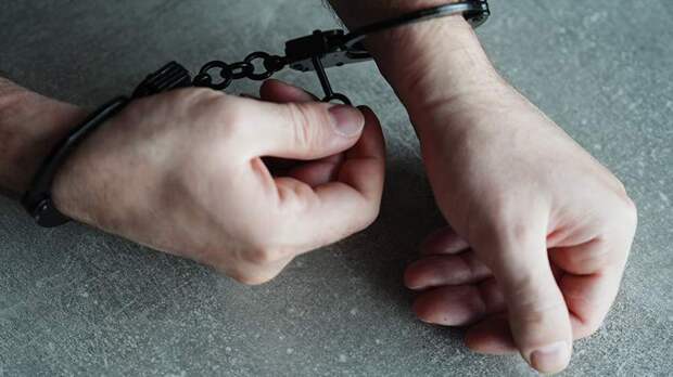 В Армении задержали десятерых сторонников предпринимателя Самвела Карапетяна