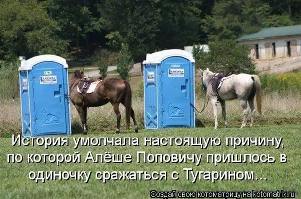 Мысли вслух :) 23 пушистые мыслишки