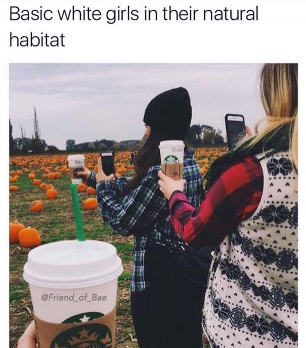 Мемы про тыквенный латте - Pumpkin spice latte