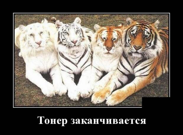 Демотиваторы (30 фото)