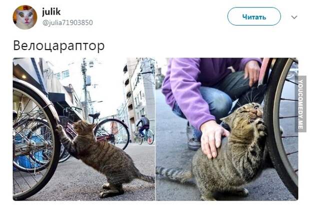 Именно таким его и представлял