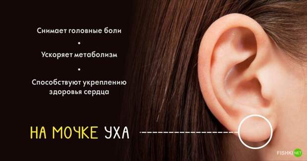 Точки на теле, которые способны активировать организм на все 100%