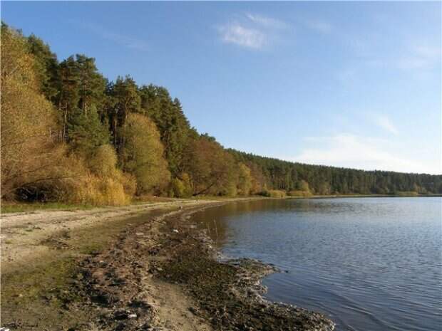 Печенежское водохранилище. Печенеги водохранилище. ЖИТОВСКОЕ водохранилище. Печенеги пляж. Печенеги Лесная дача.