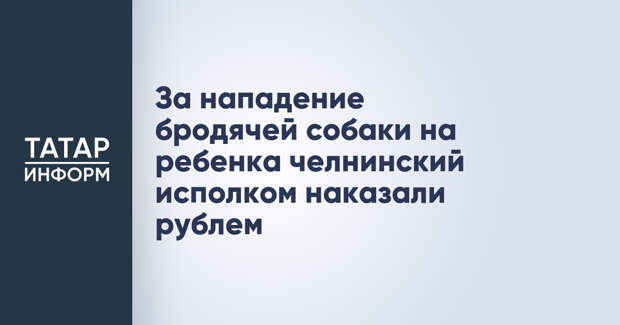 За нападение бродячей собаки на ребенка челнинский исполком наказали рублем