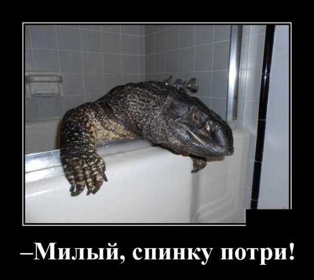 Демотиваторы (30 фото)