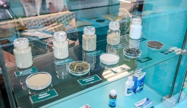 Фото: АНО "Национальные приоритеты" / Д.Лапин