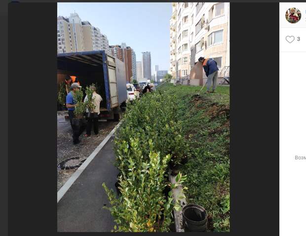 На Рождественской высадили 1700 кустов и 20 берез
