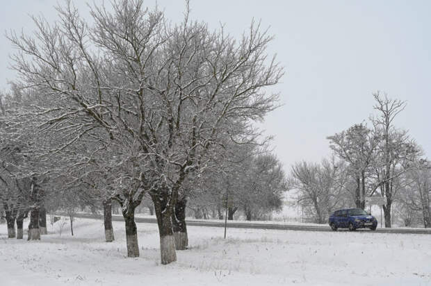 Осадки усилились: названы самые сложные участки дорог из-за снегопада в Крыму
