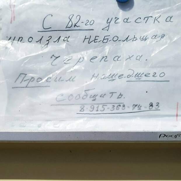 Хорошо, что не змея Хорошо, что не змея в россии, объявления, прикол, смешные объявления, фото