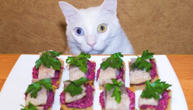 Быстрая закуска на праздничный стол