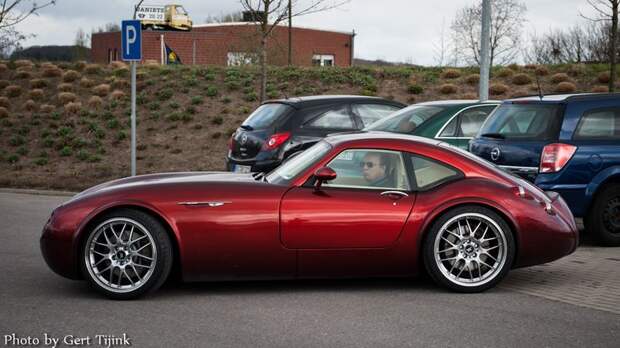 Встреча поклонников марки Wiesmann (27 фото+4 видео) Встреча поклонников марки Wiesmann (27 фото+4 видео)