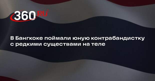 В Бангкоке задержали гражданку Тайваня за контрабанду индийских черепах