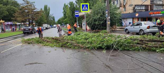 В Симферополе на улице Залесская коммунальщики убирают поваленное дерево