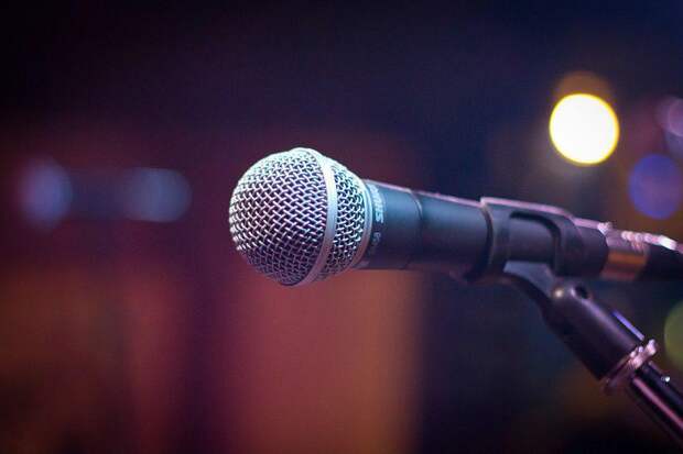 Микрофон. Фото: Pixabay.com
