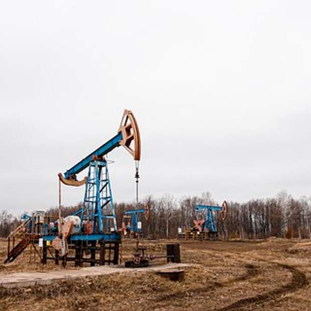 В России назвали срок принятия решения по альтернативным котировкам нефти