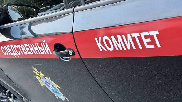 Зону поиска пропавшей в Смоленске девятилетней девочки расширили