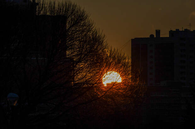 На Солнце зафиксировали рекордную активность