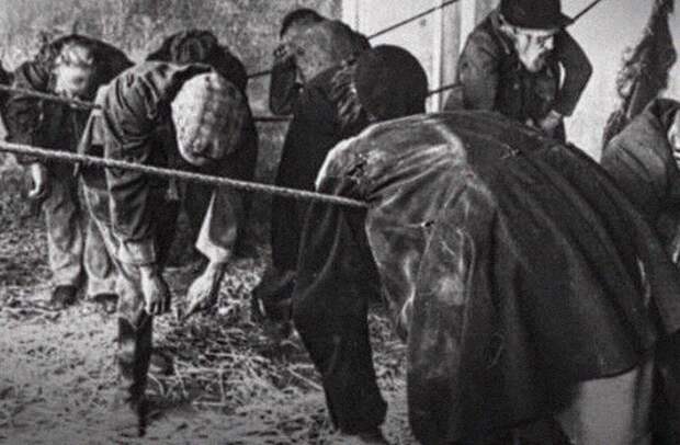 Многие бездомные мечтали о приютах и даже довольствовались таким сном Многие бездомные мечтали о приютах и даже довольствовались таким сном