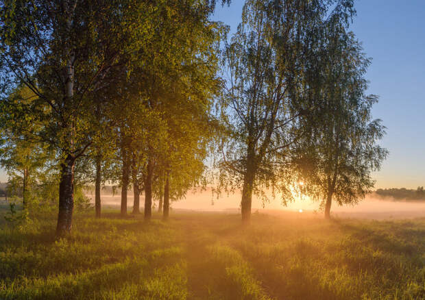 Заречный парк, город Киров