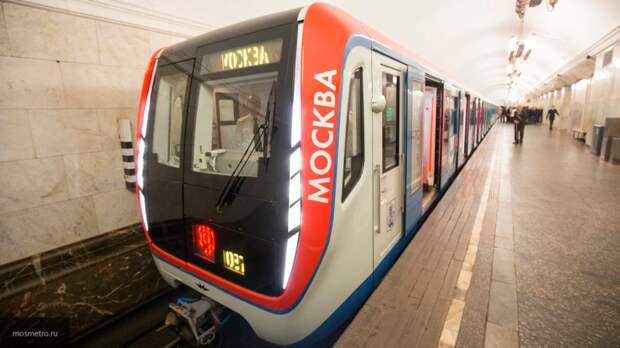 После инцидента с пассажиром, движение на серой ветке московского метро восстановлено