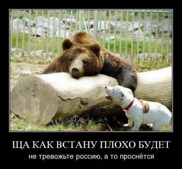 Подборка классных демотиваторов № 98