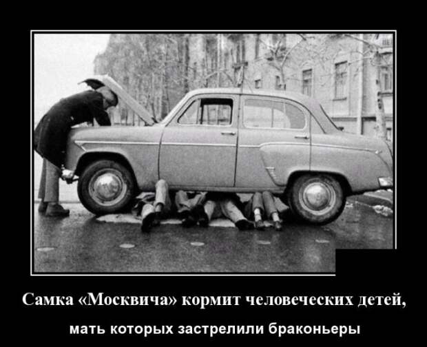 Демотиваторы