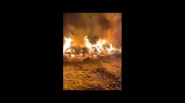 В Сибири началась вспышка сибирской язвы, которую местные власти пытаются выдать за вспышку пастереллеза, чтобы не вызывать панику у местного населени...