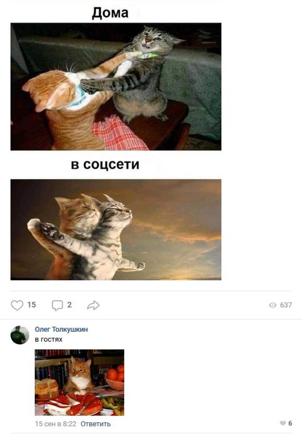 Юмор и комментарии из социальных сетей (25 скриншотов)