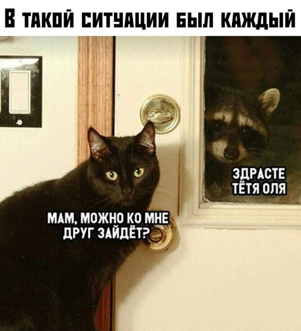 Мы только попить ...