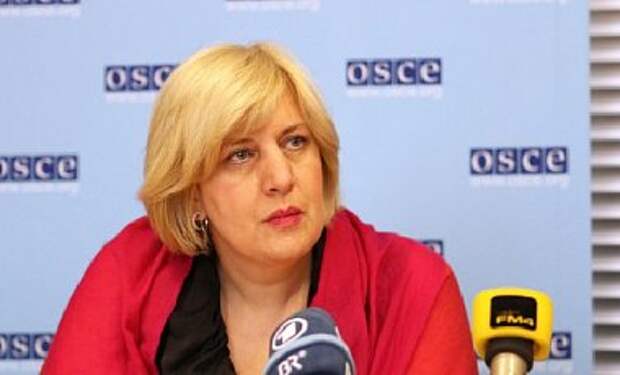 В ОБСЕ обеспокоены нарушением свободы слова в Крыму со стороны РФ