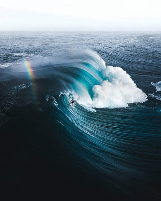 Мистические фотографии из океанских глубин: Финалисты конкурса Ocean Photography Awards 2021