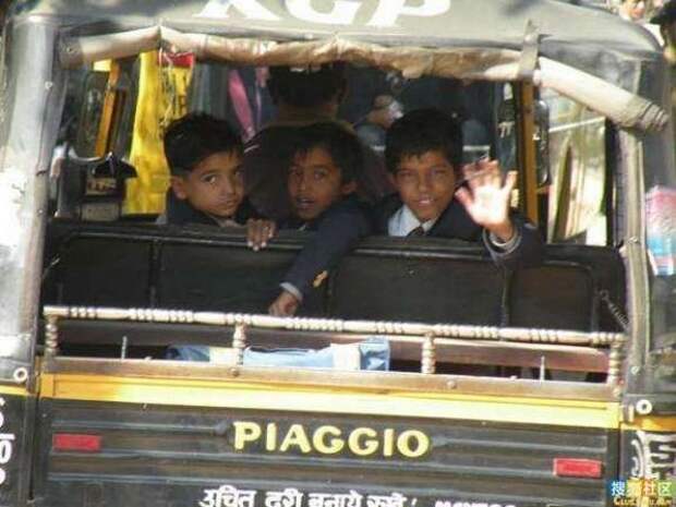 Buses_24 Buses_24