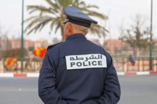 В Марокко разгорелся скандал из-за убийств собак перед ЧМ по футболу