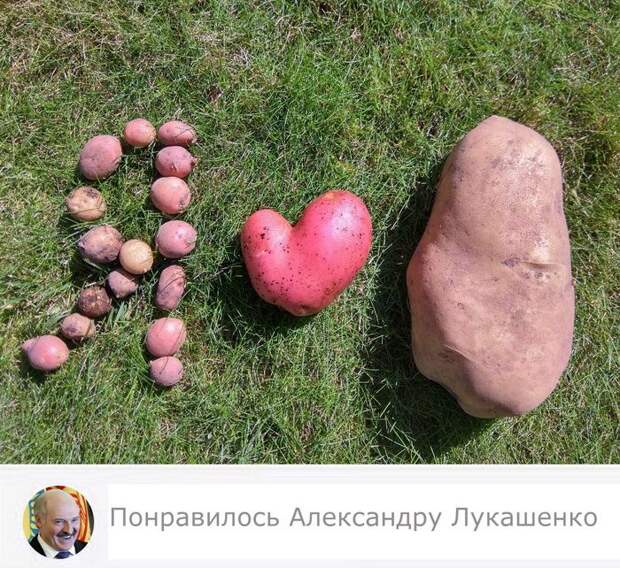 1571081476_0010.png