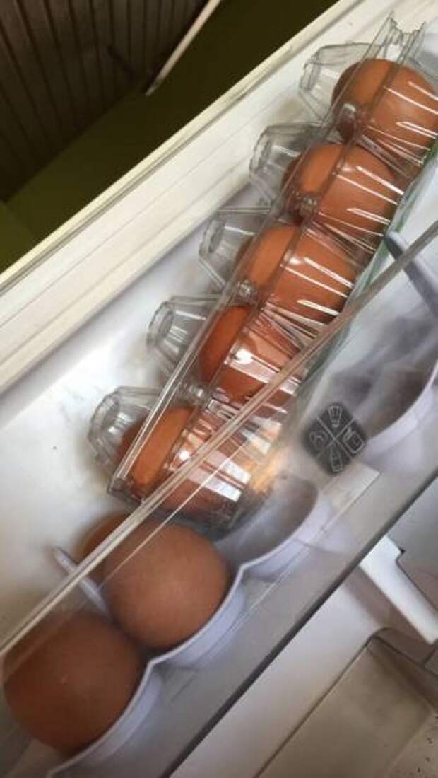 Они вывели лень на новый уровень