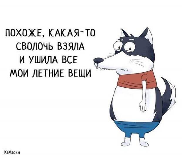 Забавные комиксы из жизни Хаски Карла