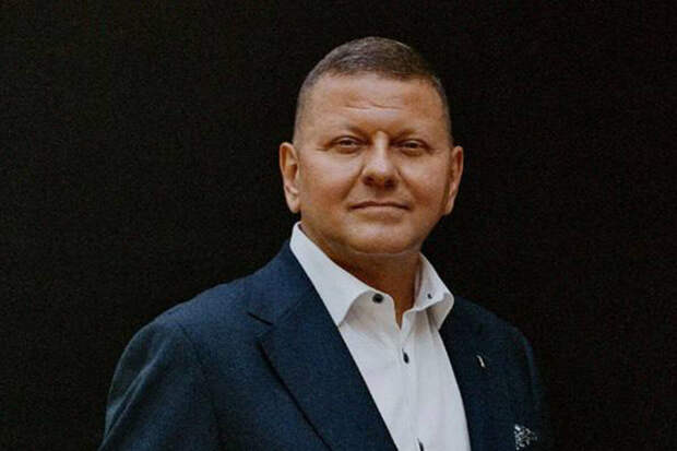 Экс-нардеп Олейник: Залужный словами о сыне показал, что Киев не вернет Донбасс