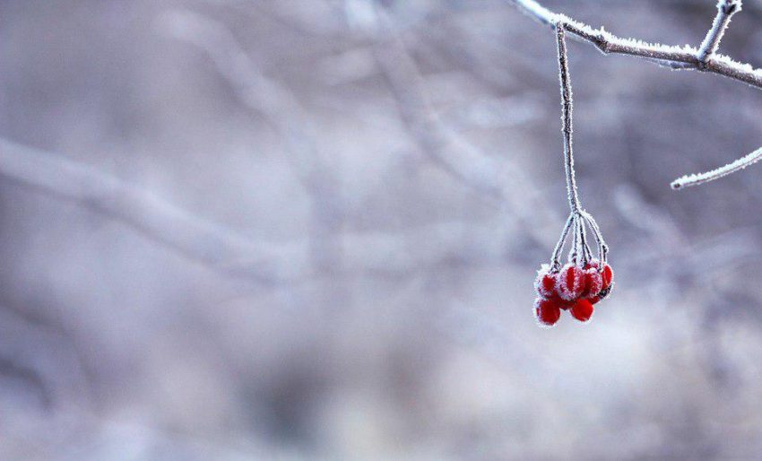 Зима/ Фото pixabay.com