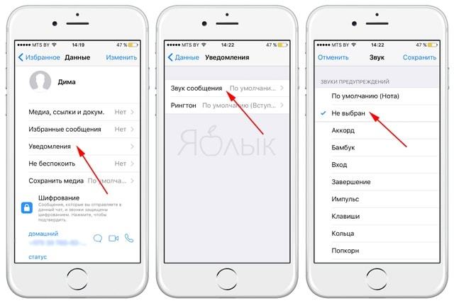 10 полезных опций WhatsApp, которые следует знать каждому