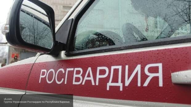 В Дедовичах сотрудники Росгвардии поймали четырех подростков на краже 