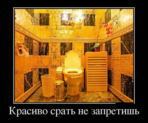 Забавные демотиваторы на утро (11 фото) Забавные демотиваторы на утро (11 фото)