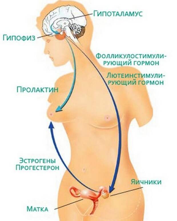 Самое ВАЖНОЕ о женском здоровье