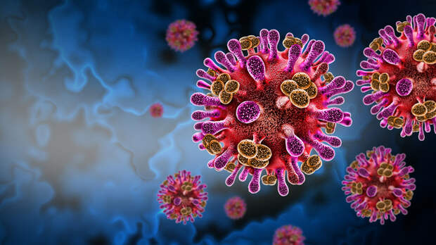 Эпидемиолог Дедков: вирус Нипах не представляет угрозы для жителей России