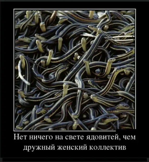 Получая ремня по первое число, семиклассница Марина гадала: какой из двух дневников нашли Получая ремня по первое число, семиклассница Марина гадала: какой из двух дневников нашли только, правда, грудь, смотрит, Больной, передаёт, когда, нетБесит, пожалуй, новостей, хороших, тогда, доктор, реинкарнацию, верите, скажите, трусики, подарок, Чарльз, кружевные