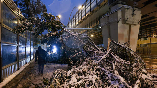 «Двигается улица»: в Сочи произошло землетрясение
