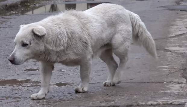 651