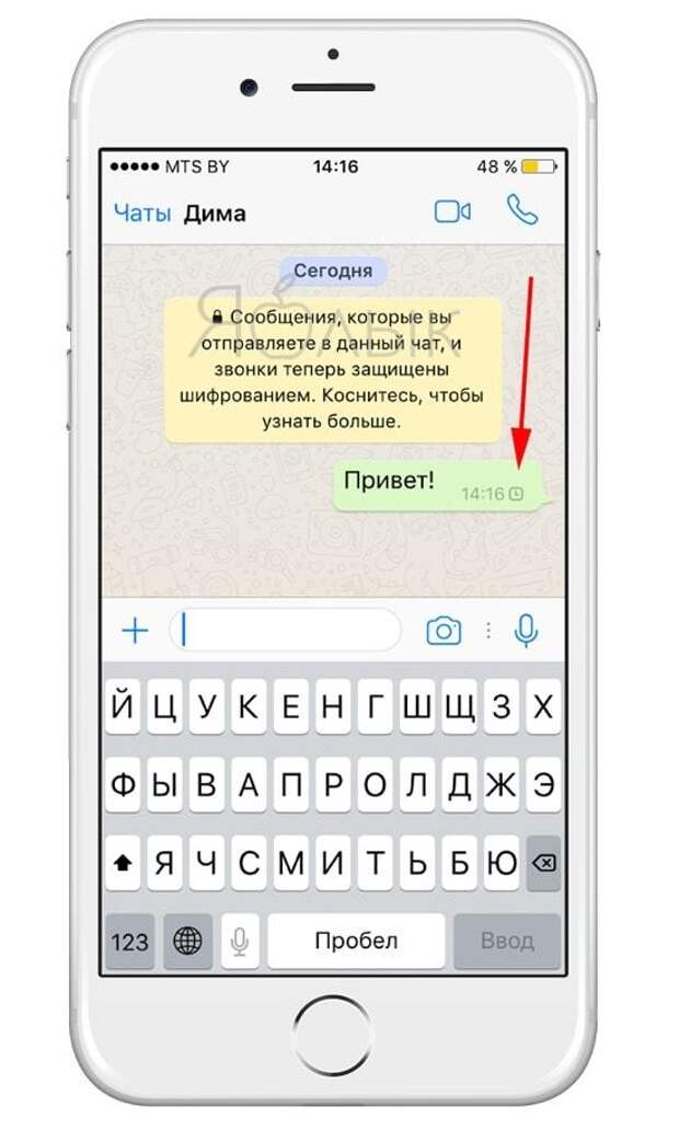 10 полезных опций WhatsApp, которые следует знать каждому