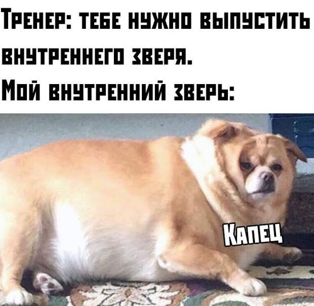 1571081450_0036.jpg