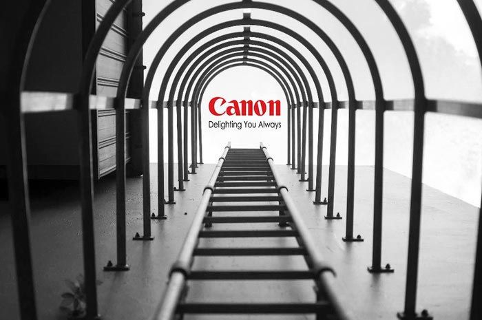 В конкурсе фотографий «Nikon Awards» победил... монтаж
